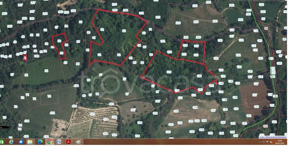 immagine annuncio 1 di 4