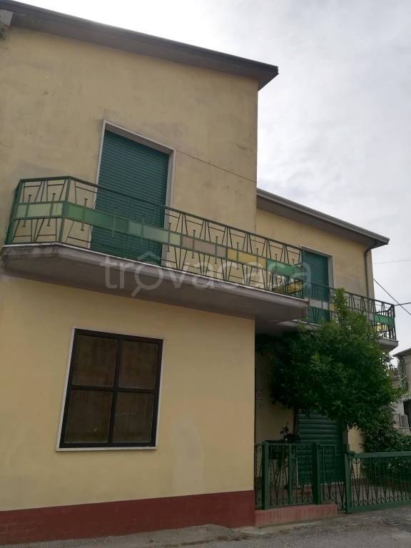 immagine annuncio 3 di 12