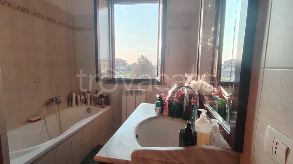 immagine annuncio 12 di 13