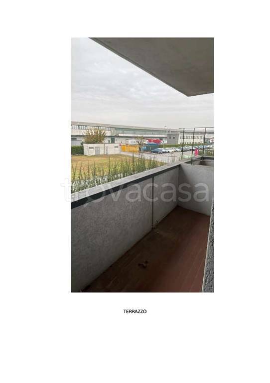 immagine annuncio 6 di 13