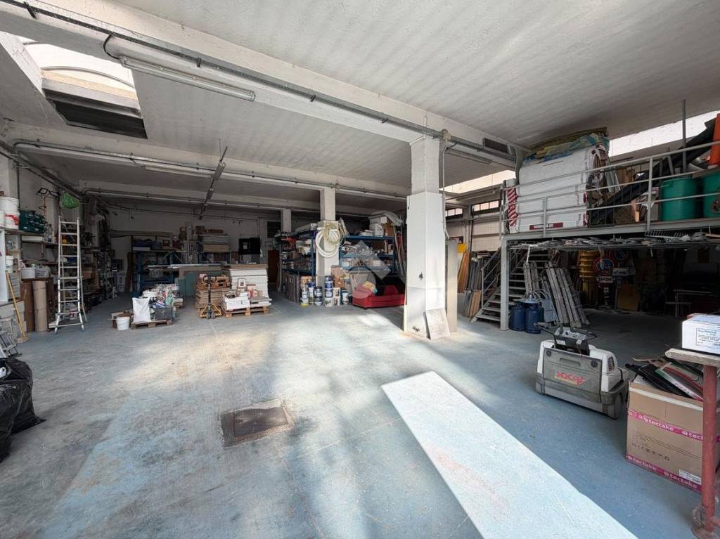 immagine annuncio 3 di 15