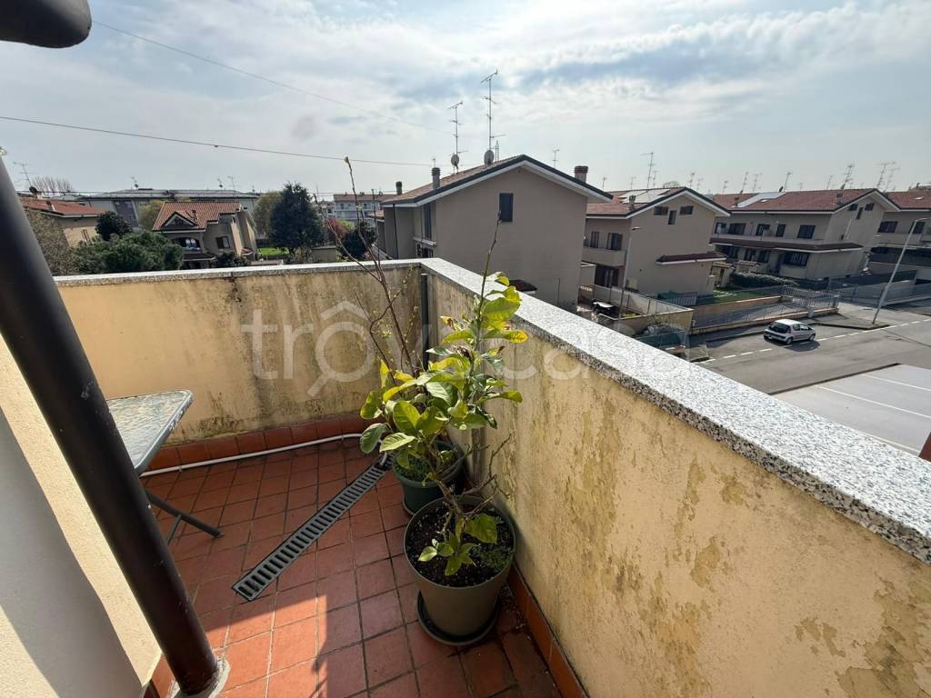 immagine annuncio 14 di 15