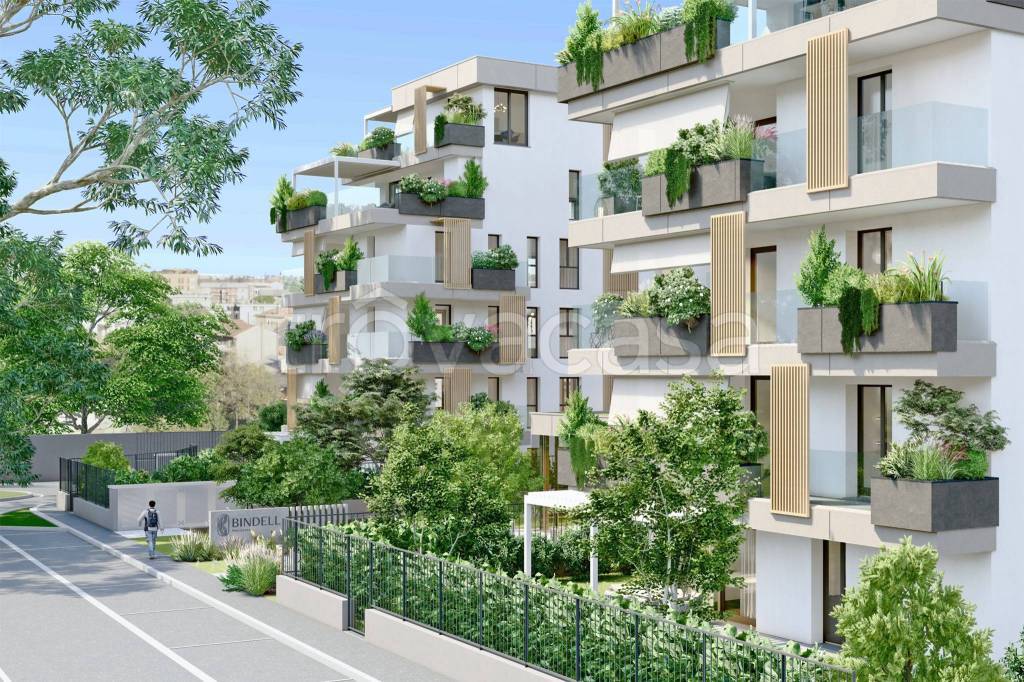 immagine annuncio 5 di 14