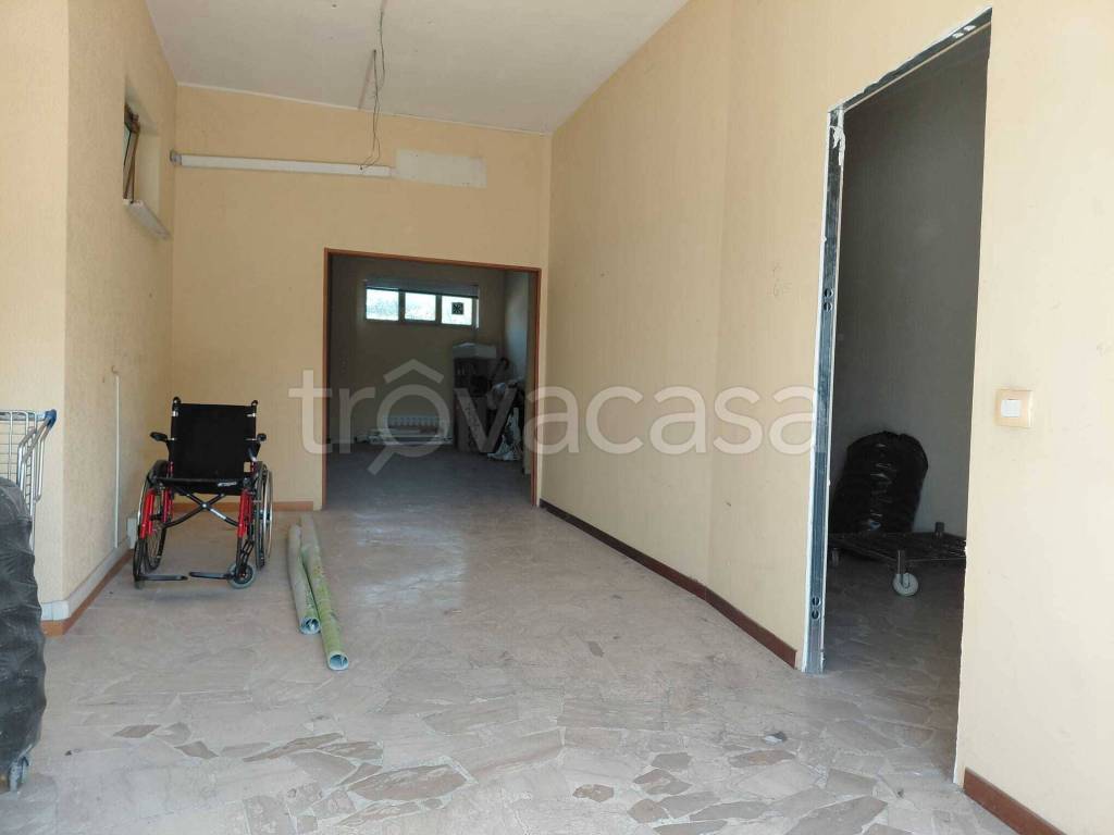 immagine annuncio 6 di 9