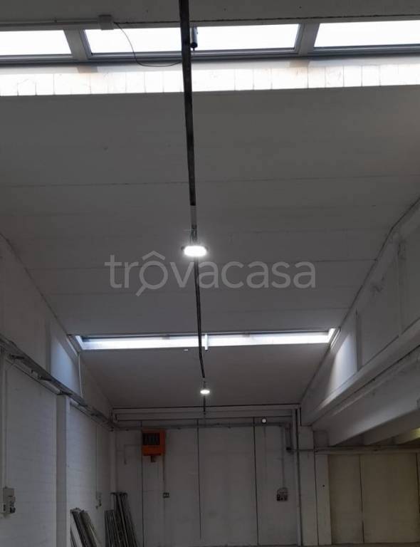 immagine annuncio 2 di 8