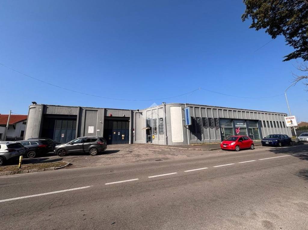 immagine annuncio 1 di 15