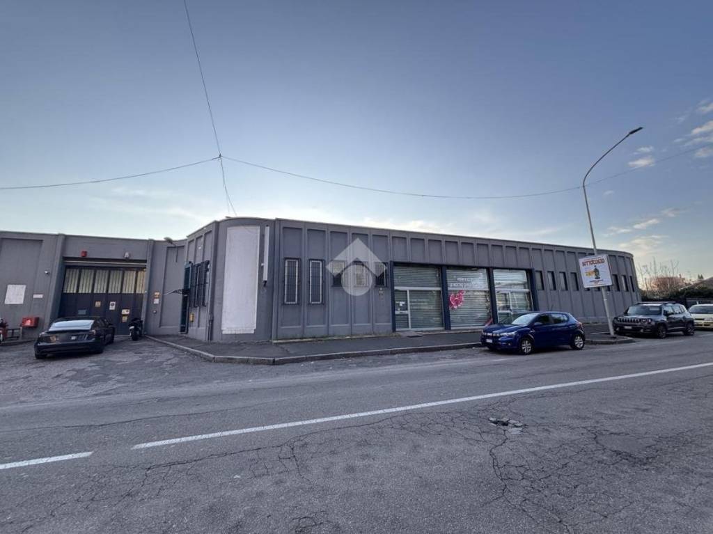 immagine annuncio 4 di 15