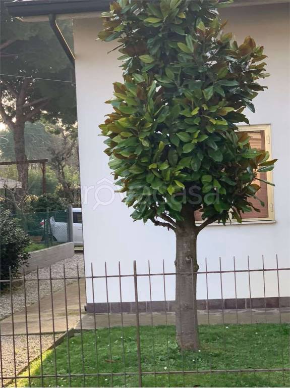 immagine annuncio 7 di 8