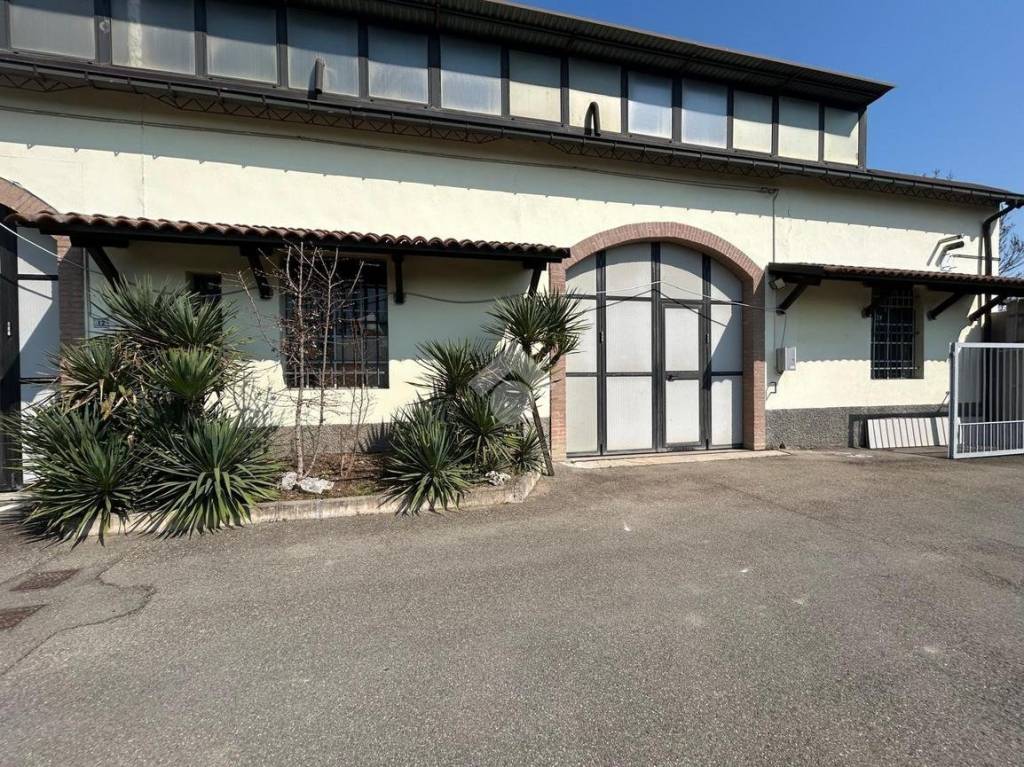 immagine annuncio 1 di 4