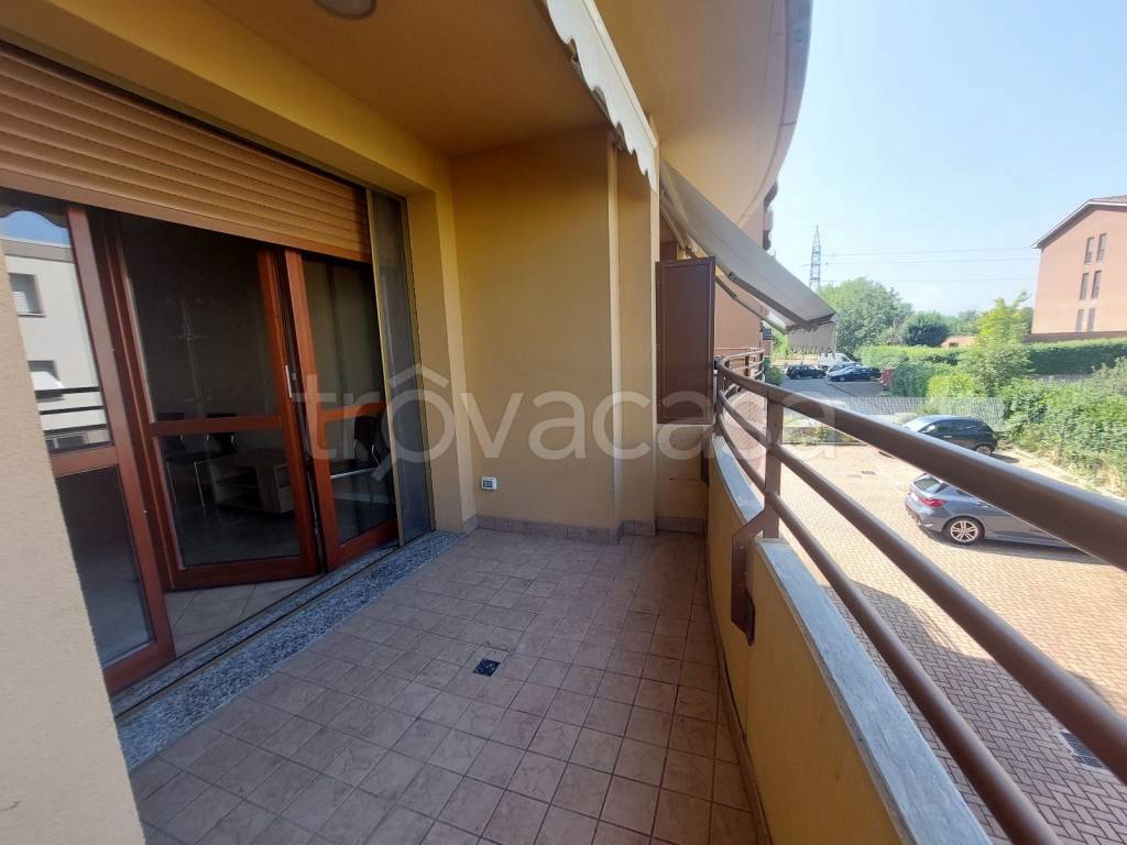 immagine annuncio 12 di 15