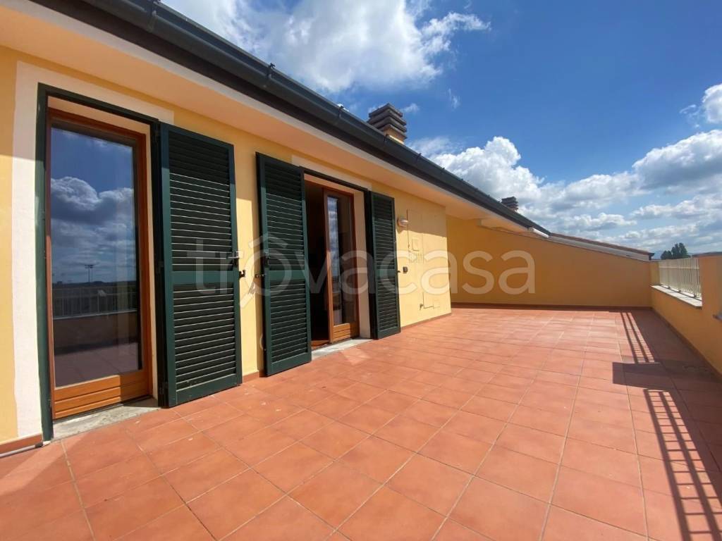 immagine annuncio 9 di 15