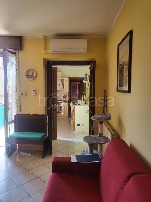 immagine annuncio 6 di 12