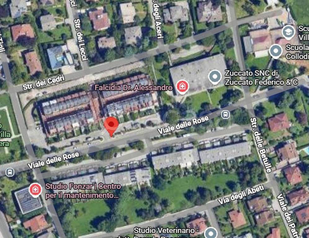 immagine annuncio 1 di 11