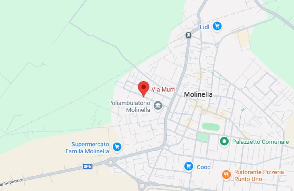 immagine annuncio 2 di 11