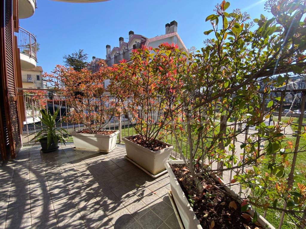 immagine annuncio 5 di 15