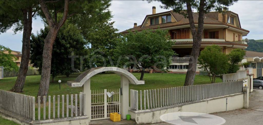 immagine annuncio 3 di 11