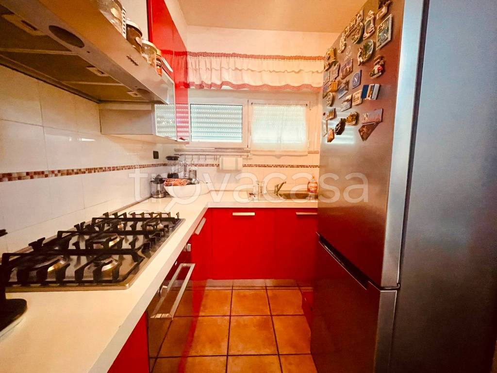 immagine annuncio 3 di 11