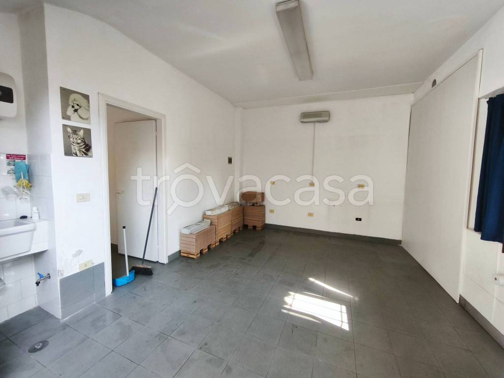 immagine annuncio 4 di 9