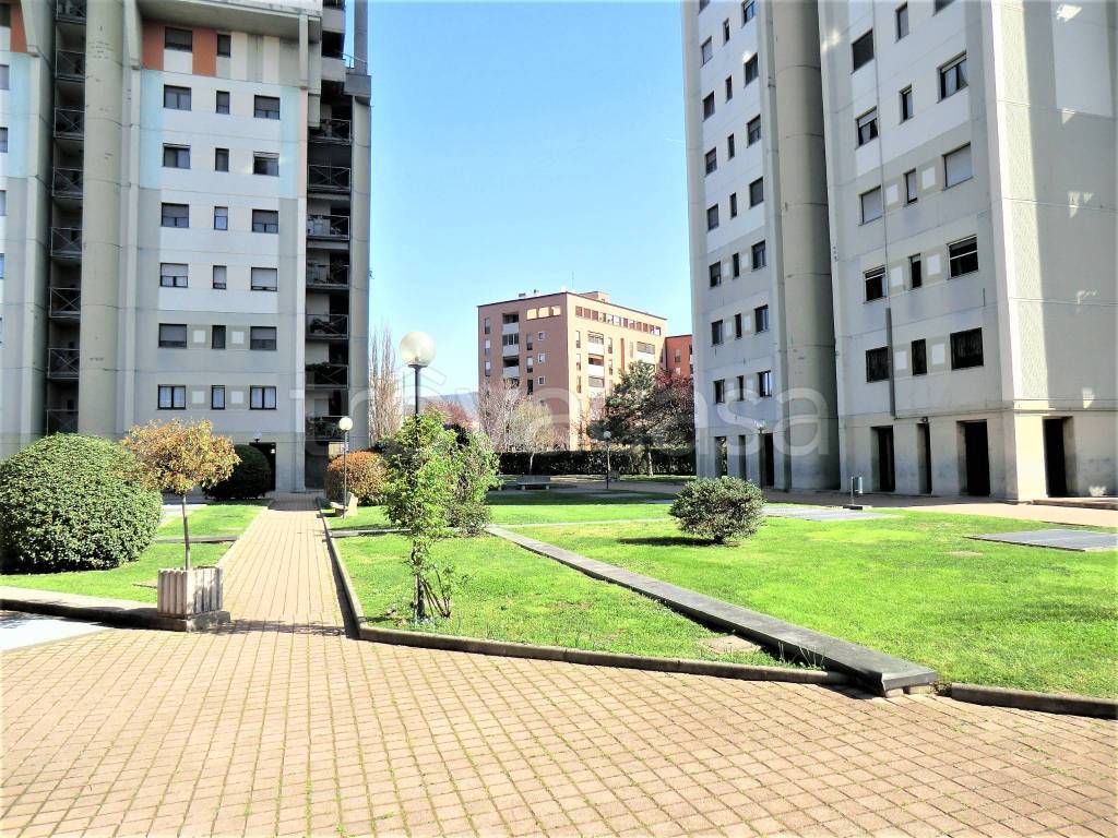 immagine annuncio 11 di 14