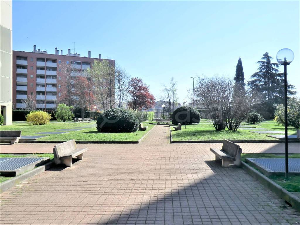 immagine annuncio 13 di 14