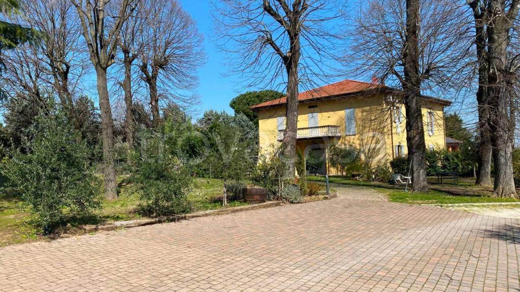 immagine annuncio 1 di 15