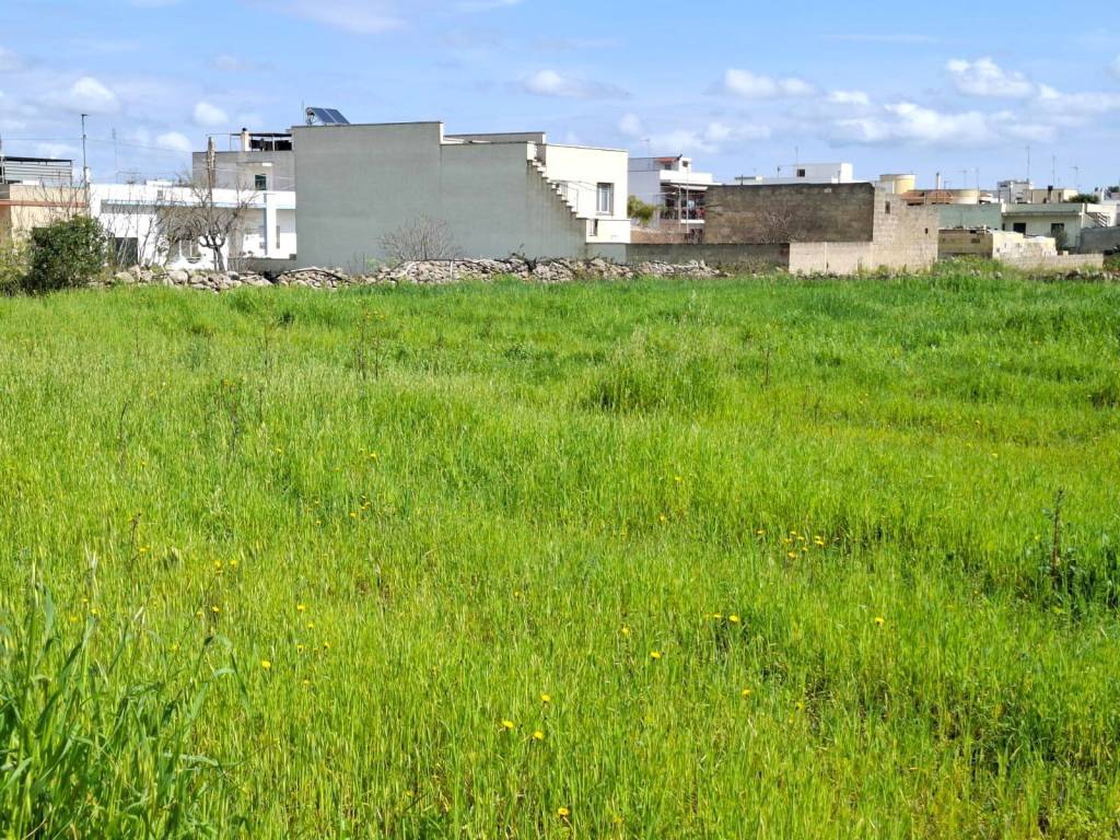 immagine annuncio 6 di 10