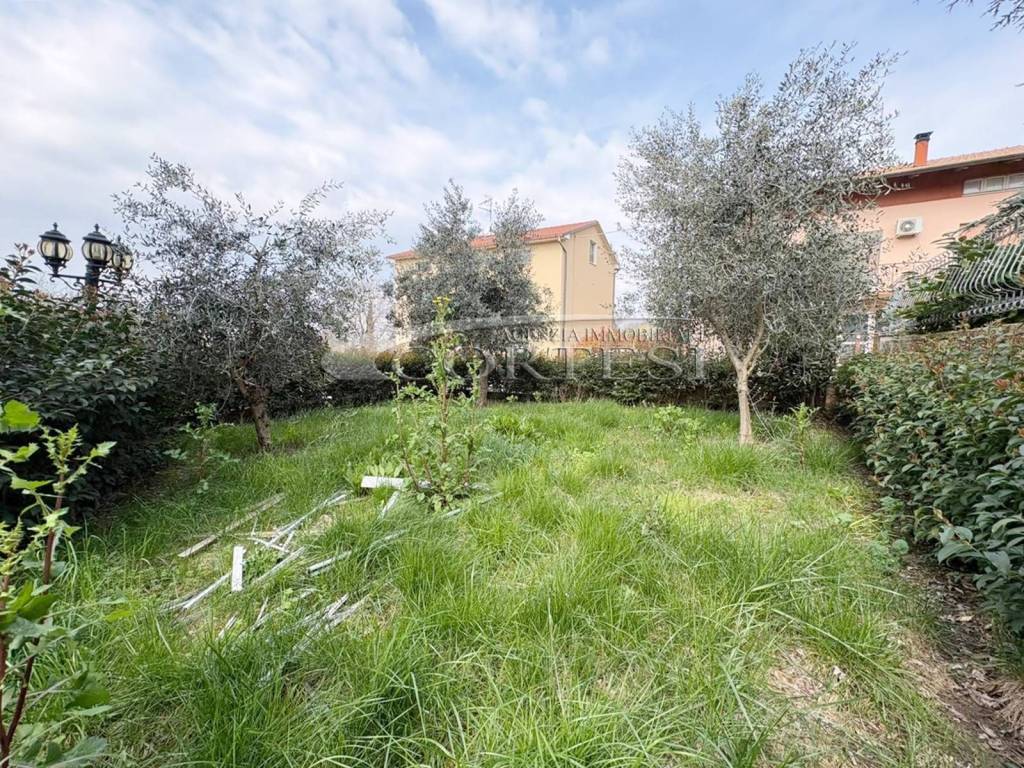 immagine annuncio 3 di 15