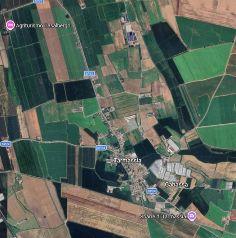 immagine annuncio 6 di 12