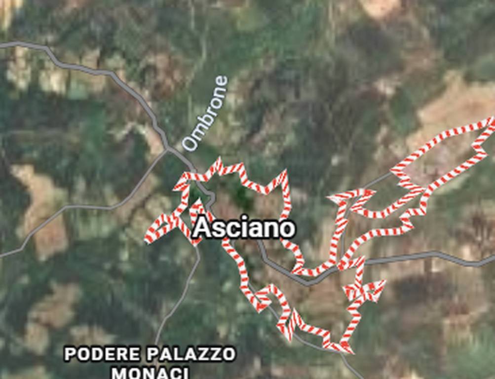 immagine annuncio 5 di 11