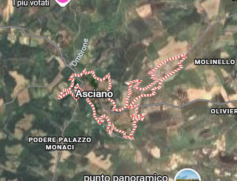 immagine annuncio 6 di 11