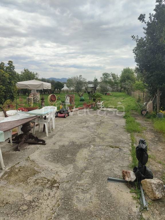 immagine annuncio 7 di 14