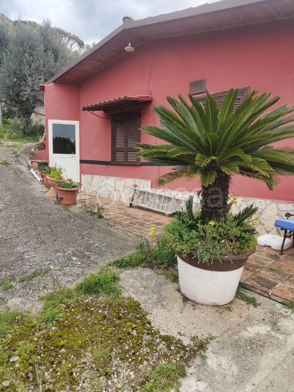 immagine annuncio 9 di 14