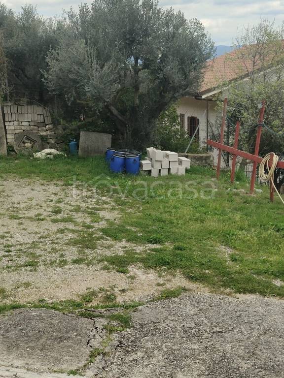 immagine annuncio 12 di 14