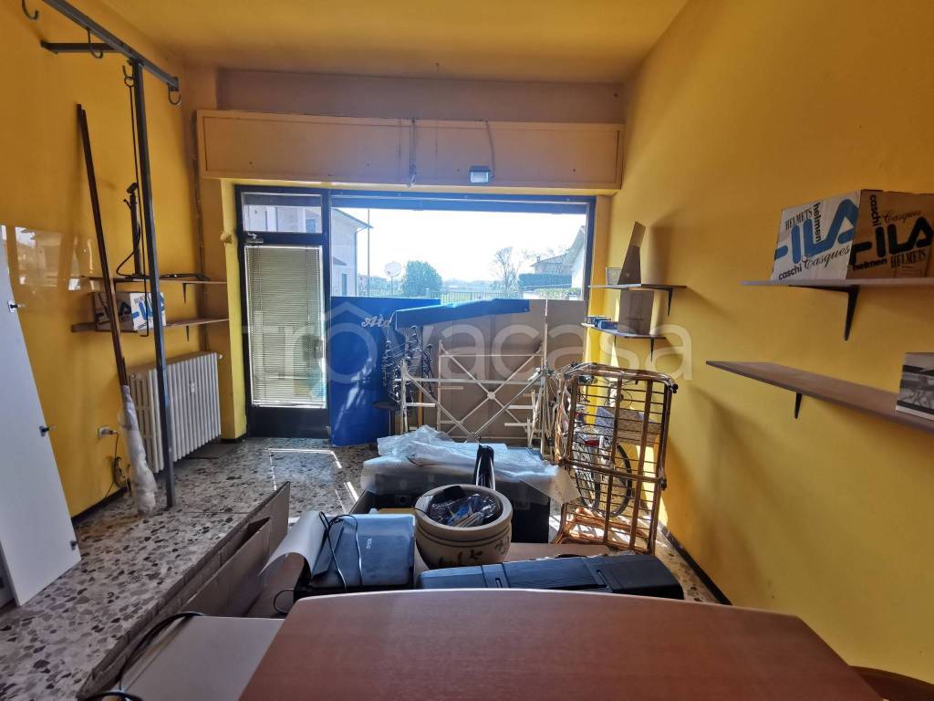 immagine annuncio 6 di 13