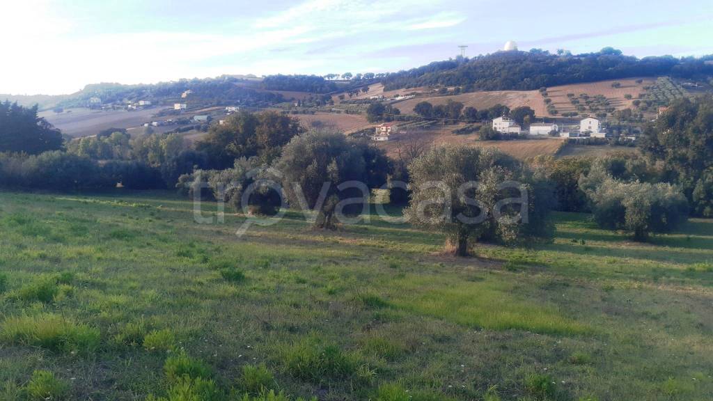 immagine annuncio 2 di 11