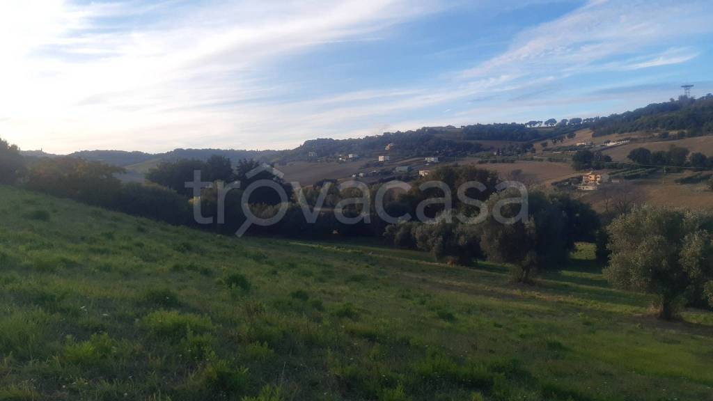 immagine annuncio 6 di 11