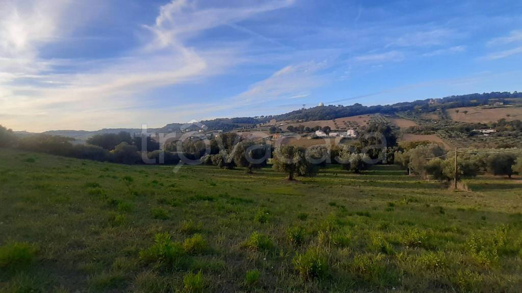 immagine annuncio 7 di 11