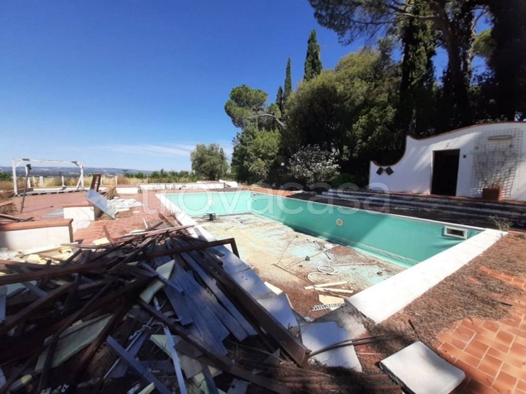 immagine annuncio 4 di 12