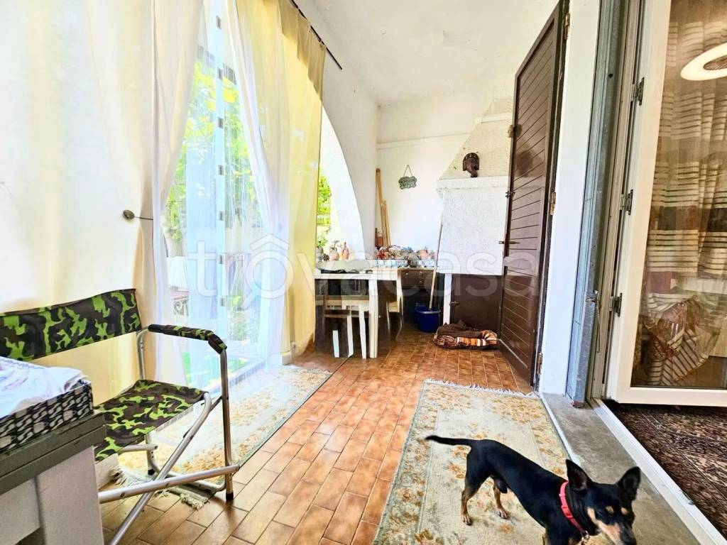 immagine annuncio 9 di 15