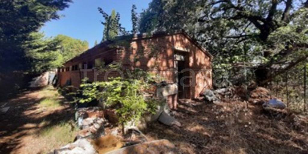 immagine annuncio 6 di 12