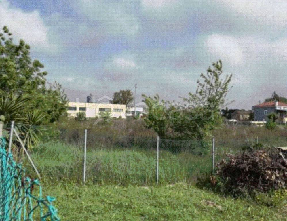 immagine annuncio 3 di 8