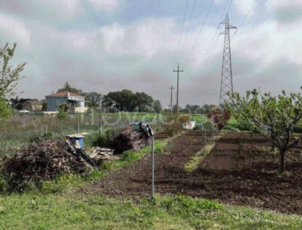 immagine annuncio 4 di 8