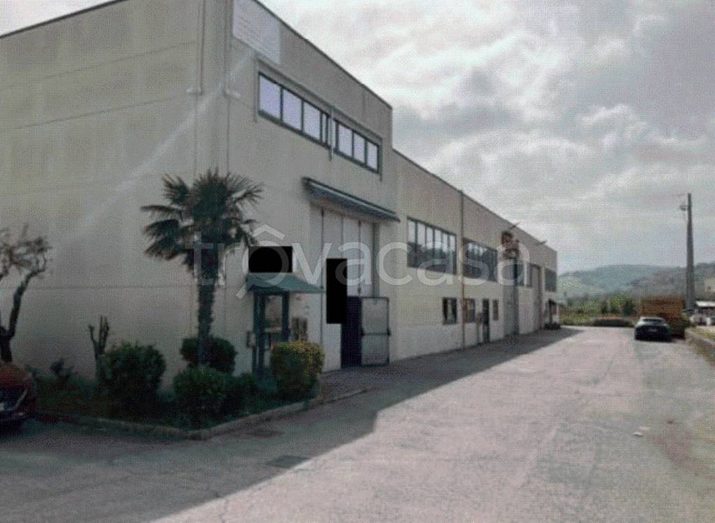 immagine annuncio 5 di 8