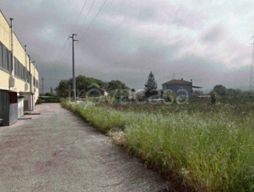 immagine annuncio 6 di 8