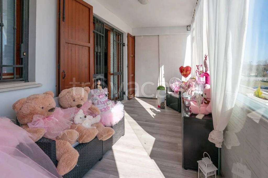 immagine annuncio 5 di 15