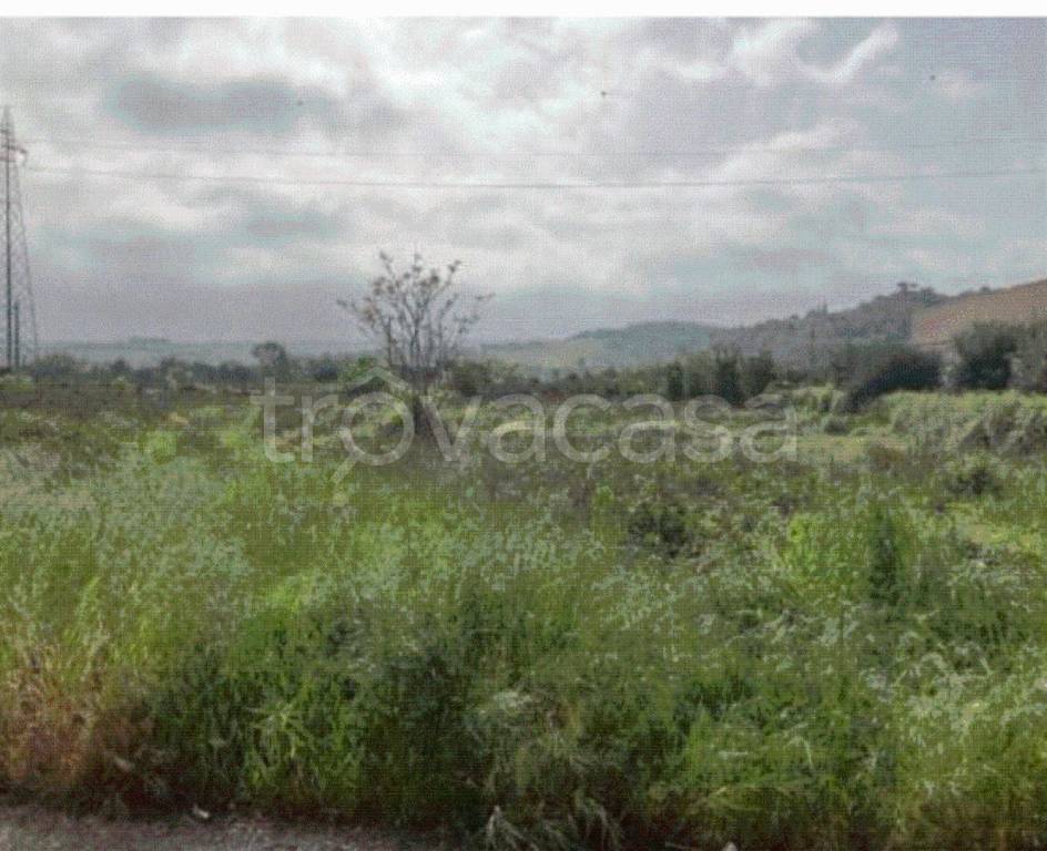 immagine annuncio 7 di 8