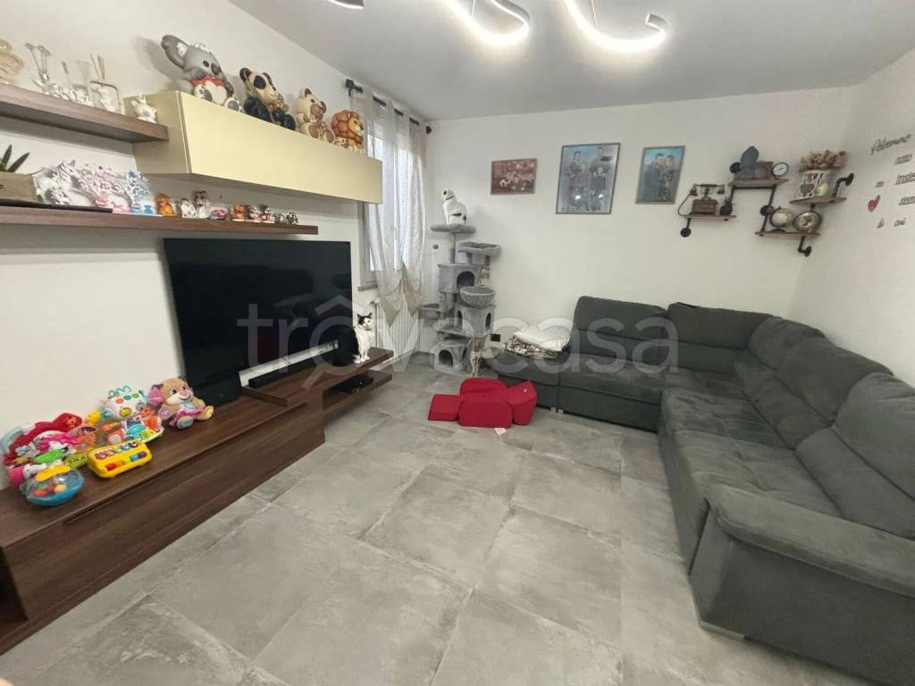 immagine annuncio 4 di 15