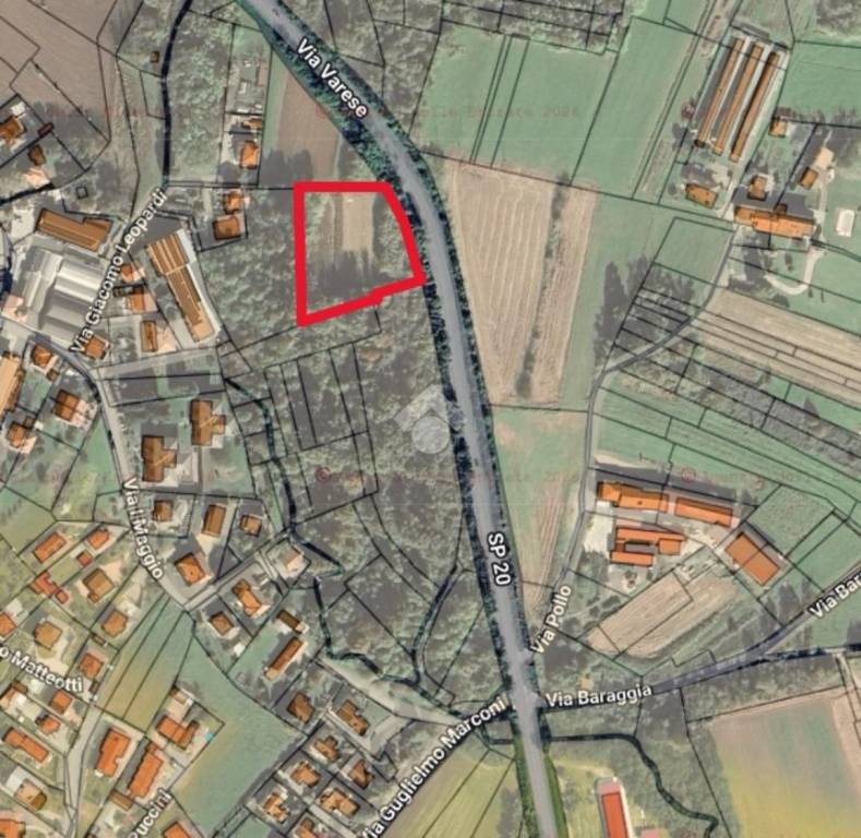 immagine annuncio 2 di 3