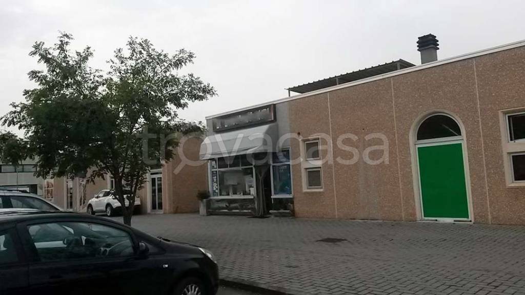 immagine annuncio 12 di 14