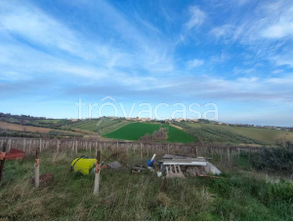 immagine annuncio 7 di 11